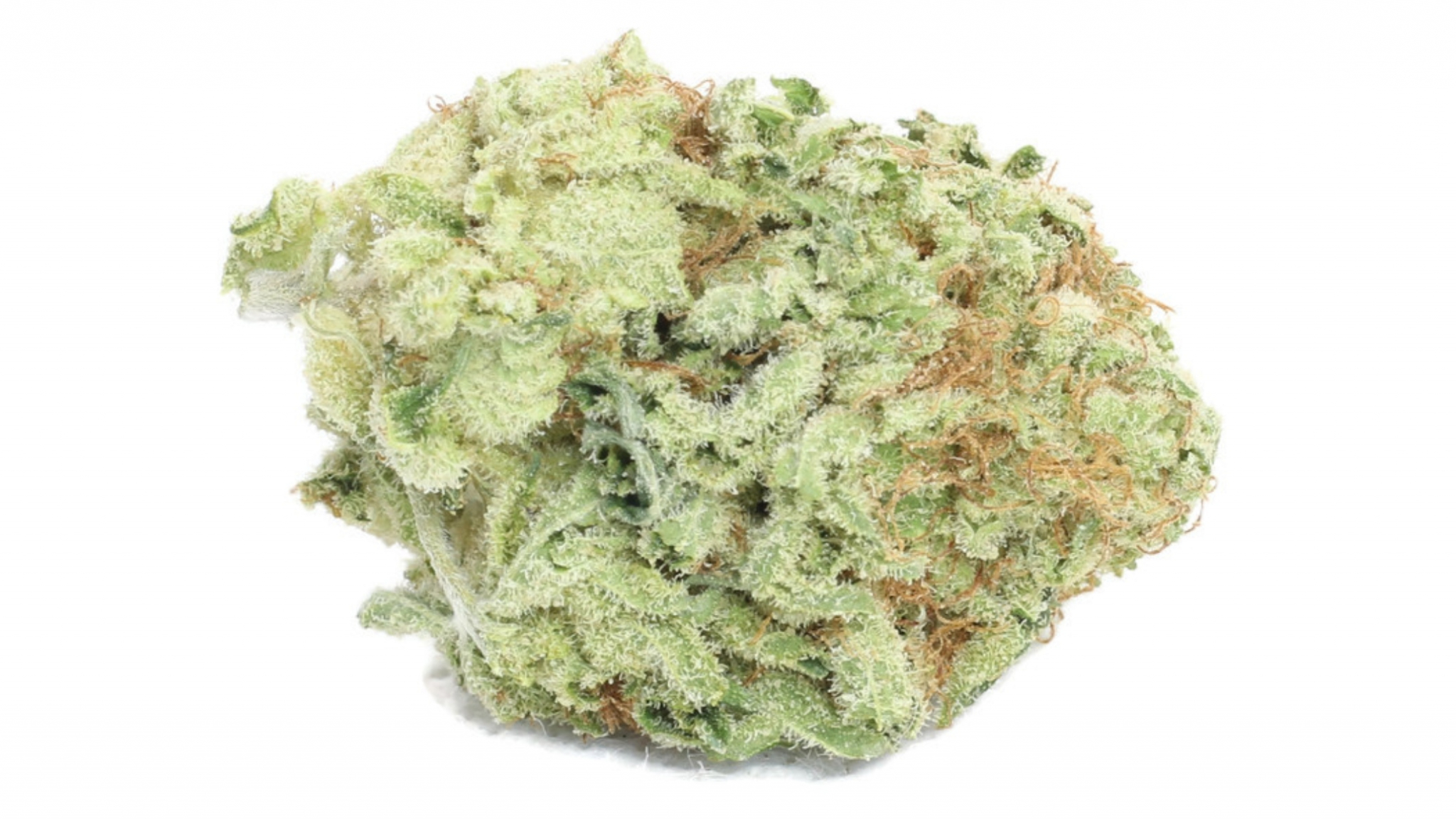 CHROME CAKE (AAAA) 14G CANNED Fast Kush Online